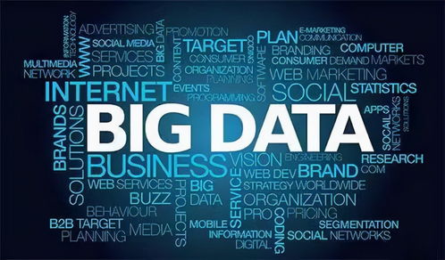 大數(shù)據(jù)與軟件開(kāi)發(fā)培訓(xùn)學(xué)費(fèi)全解析 投入與回報(bào)的權(quán)衡